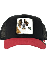 Carica l'immagine nel visualizzatore di Gallery, CAPPELLINO TOP DOG
