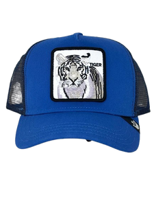 CAPPELLINO BLU TIGER